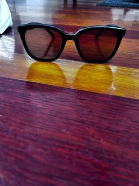 Gentle Monster Pino Classic Black Frame Sunglasses with Brown Lenses